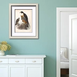 «Птицы J. G. Keulemans №72» в интерьере коридора в стиле прованс в пастельных тонах