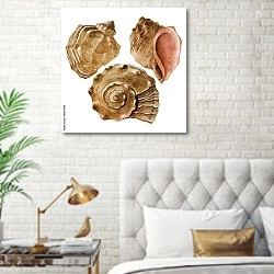 «Коллекция акварельных ракушек» в интерьере современной спальни в белом цвете с золотыми деталями