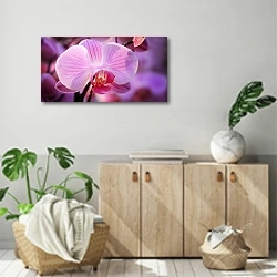 «Розовая орхидея 1» в интерьере современной комнаты над комодом