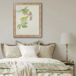 «Helleborus orientalio and Helleborus niger» в интерьере спальни в стиле прованс над кроватью