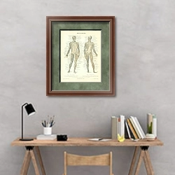 «Мышцы человека» в интерьере кабинета с серыми стенами над столом