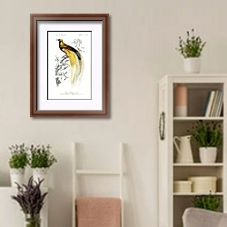 «Большая райская птица» в интерьере комнаты в стиле прованс с цветами лаванды