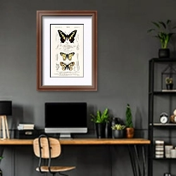 «Разные виды бабочек 6» в интерьере кабинета с серыми стенами