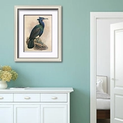 «Spectacled Cormorant» в интерьере коридора в стиле прованс в пастельных тонах