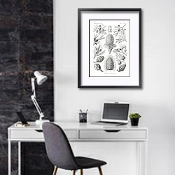 «Coniferae–Bapfenbäume» в интерьере кабинета в черно-белых цветах