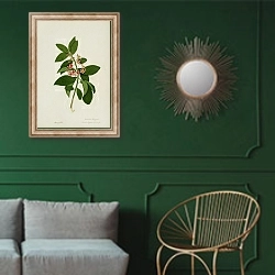 «Ardisia solanacea» в интерьере классической гостиной с зеленой стеной над диваном