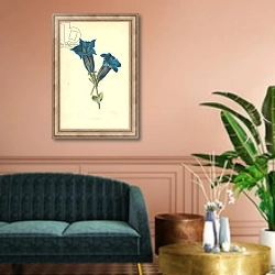«Centianella» в интерьере классической гостиной над диваном