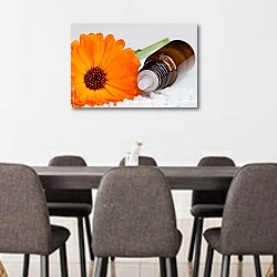 «Витамины и цветок ноготков» в интерьере переговорной комнаты в офисе
