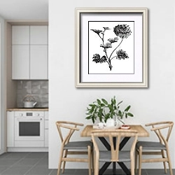 «Geranium or Storksbill or Pelargonium zonale, vintage engraving» в интерьере кухни в светлых тонах над обеденным столом