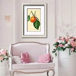 «Крупный ранний абрикос» в интерьере гостиной в стиле прованс над диваном
