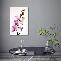 «Орхидеи 24» в интерьере современной гостиной в серых тонах