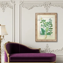 «Ms Fr. Fv VI #1 fol.113v Greater Celandine or Poppy, Solanum c.1470» в интерьере в классическом стиле над банкеткой