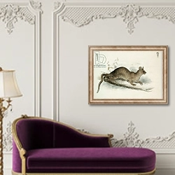 «The Polecat, 19th century» в интерьере в классическом стиле над банкеткой