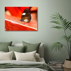 «Красивая чёрная бабочка на красном фоне» в интерьере современной спальни в зеленых тонах