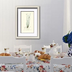 «Eleocharis palustris. Marsh spike-rush 1» в интерьере столовой в стиле прованс над столом