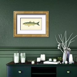 «Long-finned Grey Mullet» в интерьере зеленой комнаты