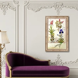 «Ms Fr. Fv VI #1 fol.114v Top row: Orchid and Fumitory or Bleeding Heart c.1470» в интерьере в классическом стиле над банкеткой