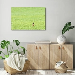 «Заяц в зеленом поле» в интерьере современной комнаты над комодом