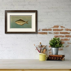 «The Dollar or Butter Fish, Rhombus triacanthus.» в интерьере кабинета с кирпичными стенами над письменным столом