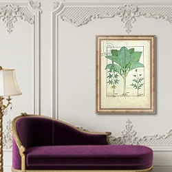 «Ms Fr. Fv VI #1 fol.145r Cannabis, Brassica and Thistle, c.1470» в интерьере в классическом стиле над банкеткой