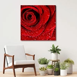 «Ярко-красная роза с каплями воды №3» в интерьере современной комнаты над креслом