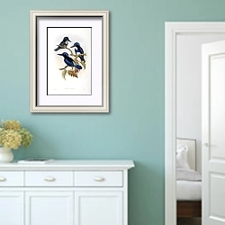 «Spotted-throated Kingfisher - Halcyon stictolaema» в интерьере коридора в стиле прованс в пастельных тонах