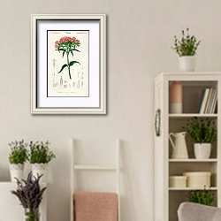 «Гвоздика турецкая (Dianthus barbatus) » в интерьере комнаты в стиле прованс с цветами лаванды