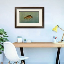 «The Blackfish or Tautog, Tautoga onitis.» в интерьере кабинета в современном стиле