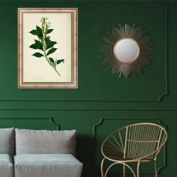 «Ecbolium linneanum» в интерьере классической гостиной с зеленой стеной над диваном