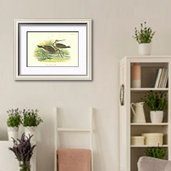 «Black-Tailed Godwit 1» в интерьере комнаты в стиле прованс с цветами лаванды