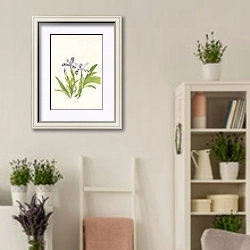 «Crested Iris.» в интерьере комнаты в стиле прованс с цветами лаванды