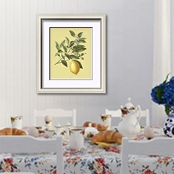 «Лимонная ветка на желтом фоне» в интерьере кухни в стиле прованс над столом с завтраком