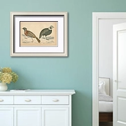 «Birds» в интерьере коридора в стиле прованс в пастельных тонах