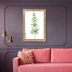 «Веточка с цветами дикого растения подмаренник цепкий» в интерьере гостиной с розовым диваном