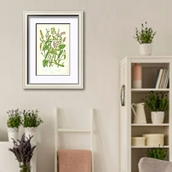 «Common Buckwheat, Climbing, Copse, Amphibius Persecaria, Spotted» в интерьере комнаты в стиле прованс с цветами лаванды