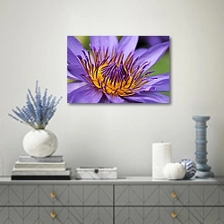 «Фиолетовая водяная лилия» в интерьере современной гостиной с голубыми деталями