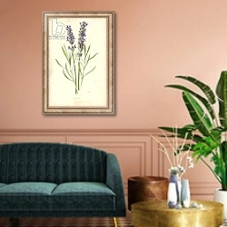 «Lavender» в интерьере классической гостиной над диваном