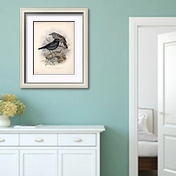«Птицы J. G. Keulemans №51» в интерьере коридора в стиле прованс в пастельных тонах