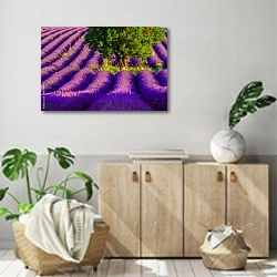 «Франция, прованс. Lavender field at plateau Valensole» в интерьере современной комнаты над комодом