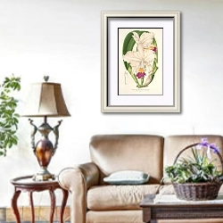 «Cattleya quadricolor» в интерьере гостиной в стиле прованс