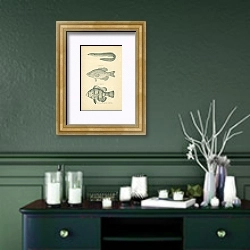 «The Eel, The Crappie, The Black-Banded Sunfish» в интерьере зеленой комнаты