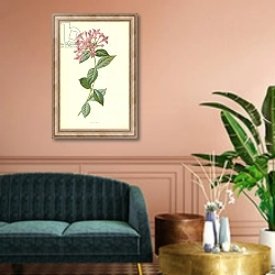 «Bouvardia» в интерьере классической гостиной над диваном