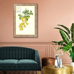 «Laburnum» в интерьере классической гостиной над диваном