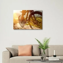 «Горный велосипед» в интерьере современной светлой гостиной над диваном