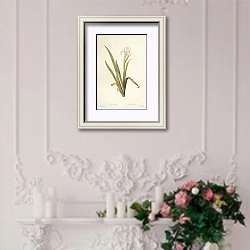 «Iris lutescens Lam» в интерьере в стиле прованс над камином с лепниной
