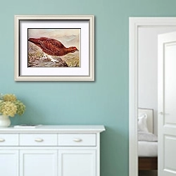 «British Birds - Red Grouse» в интерьере коридора в стиле прованс в пастельных тонах