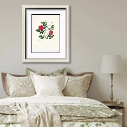 «Rosa semperflorens» в интерьере спальни в стиле прованс над кроватью