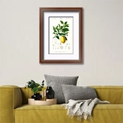 «Лимон (Citrus Limonium)» в интерьере в скандинавском стиле с желтым диваном