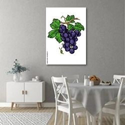 «Гроздь красного винограда» в интерьере современной столовой
