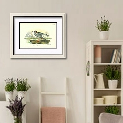 «Black-Headed Gull 4» в интерьере комнаты в стиле прованс с цветами лаванды